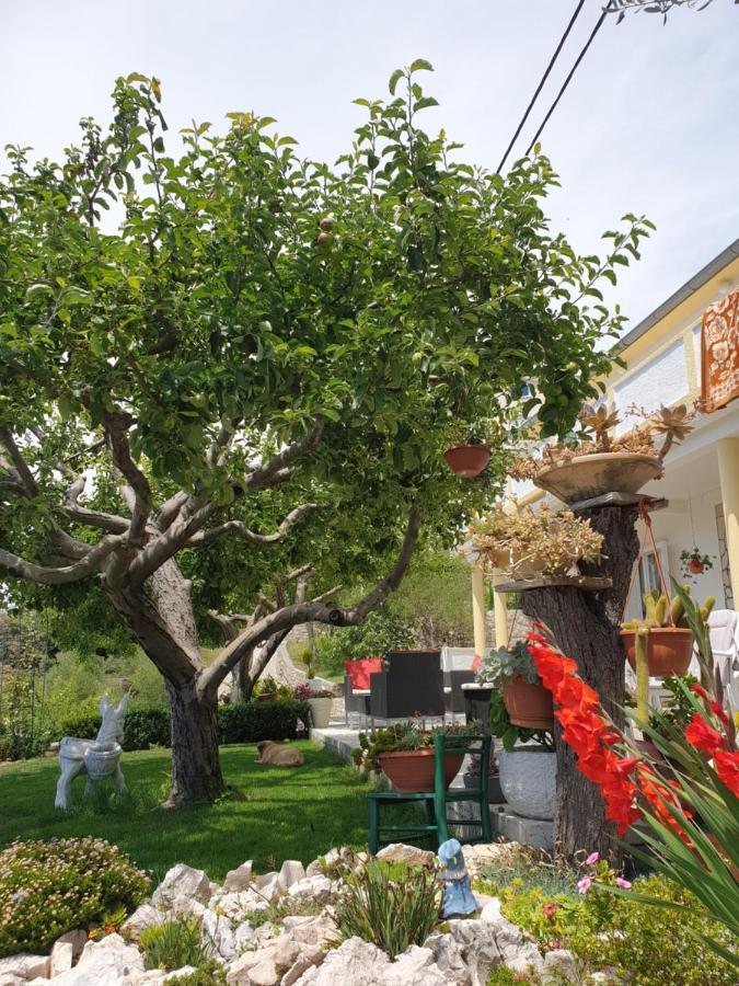 Apartmani I Sobe Jusic Rab Town Dış mekan fotoğraf