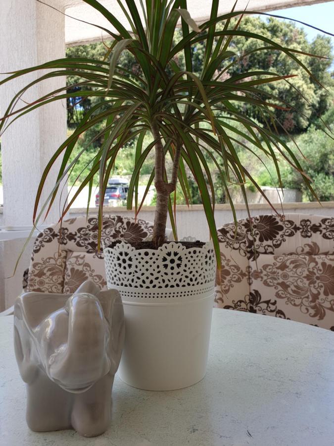 Apartmani I Sobe Jusic Rab Town Dış mekan fotoğraf